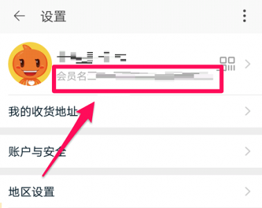 淘宝会员名是什么详情 淘宝的会员名字是什么