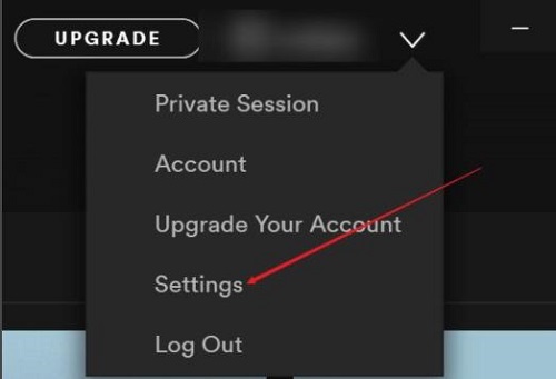 spotify怎么设置中文详细方法
