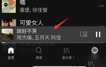 spotify看歌词详细教程