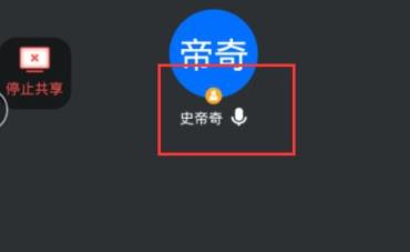 腾讯会议共享屏幕视频没声音解决教程