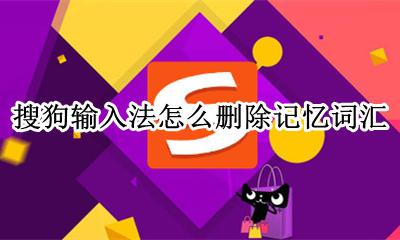 搜狗输入法怎么删除记忆词汇 搜狗输入法怎么清除记忆词库