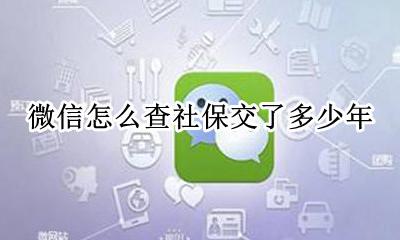 微信如何查社保交了几年 微信怎么查社保交了多少年