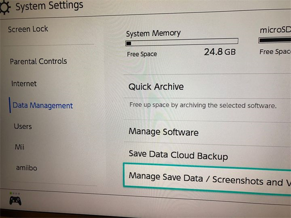 switch怎么删除存档