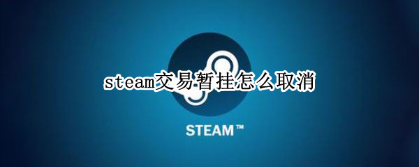 steam交易暂挂怎么取消