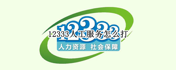 12333人工服务怎么打