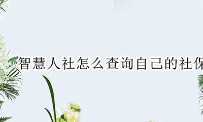 智慧人社怎么查养老保险 智慧人社怎么查询自己的社保