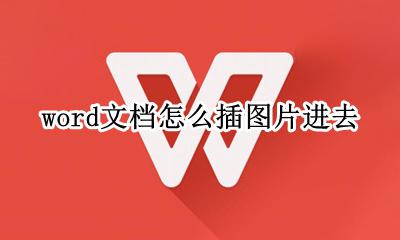 word文档插图片怎么插 word文档怎么插图片进去