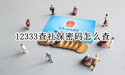 12333查社保密码怎么查 12333社保查询服务密码是什么