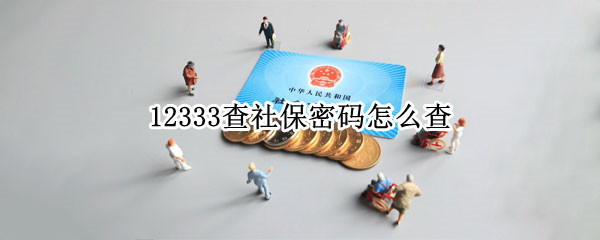 12333查社保密码怎么查