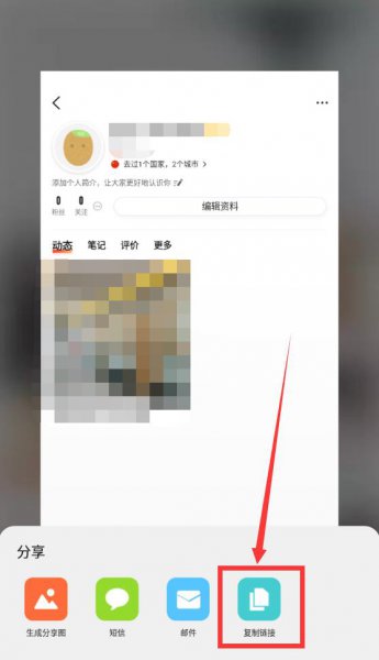 大众点评访客记录怎么看