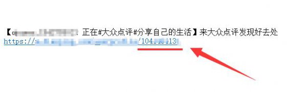 大众点评访客记录怎么看