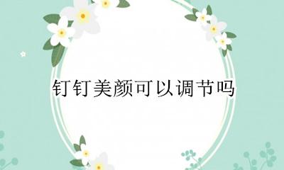 钉钉美颜怎么设置 钉钉美颜可以调节吗