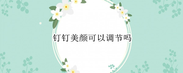 钉钉美颜可以调节吗