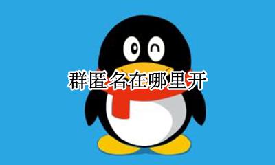 群匿名在哪里开 群里的匿名怎么弄