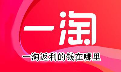 一淘返钱返到哪里 一淘返利的钱在哪里