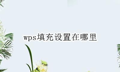 wps填充设置在哪里 wps文档填充设置在哪里