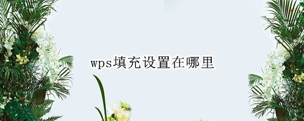 wps填充设置在哪里