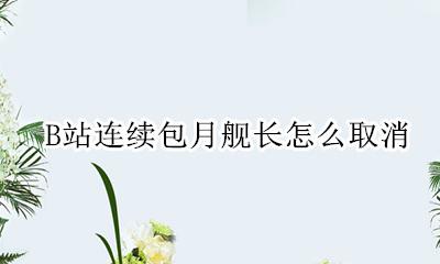 B站连续包月舰长怎么取消 b站舰长连续包月可以取消吗