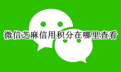 如何查看微信的信用积分 微信芝麻信用积分在哪里查看
