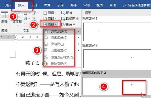 怎么设置页码的字体大小详情