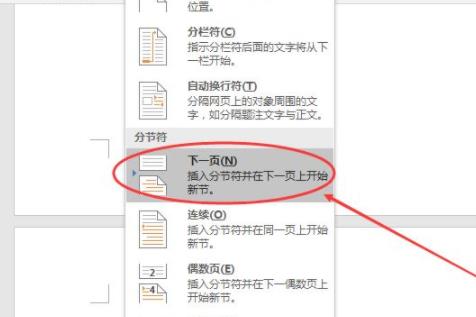 怎么设置页码从指定页开始教程