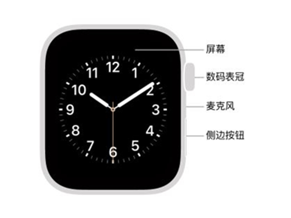 iwatch排水模式怎么关闭