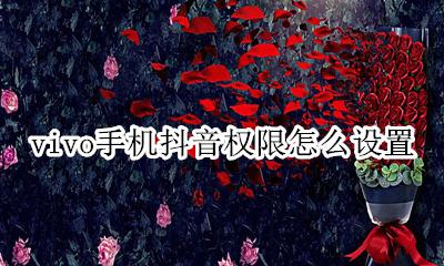 vivo手机抖音权限怎么设置 vivo手机抖音相册权限怎么开启