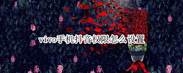 vivo手机抖音权限怎么设置