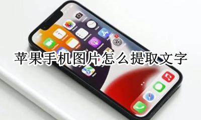 苹果手机图片怎么提取文字 苹果手机怎么提取图片的文字