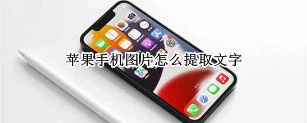苹果手机图片怎么提取文字
