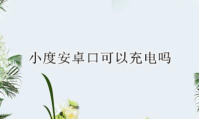小度安卓口可以充电吗 小度1s安卓口能不能充电