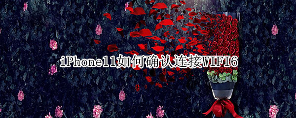 iPhone11如何确认连接WIFI6