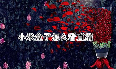 小米盒子怎么看直播 小米盒子怎么看春晚