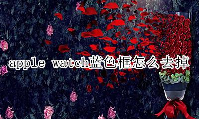applewatch有蓝框 apple watch蓝色框怎么去掉
