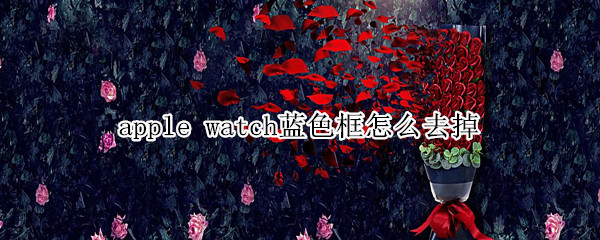 apple watch蓝色框怎么去掉