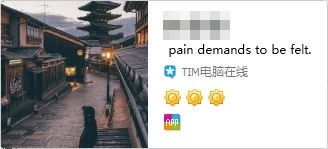 tim电脑在线详细介绍 tim电脑在线和tim忙碌