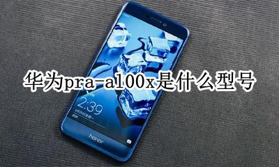 华为pra-al00x是什么型号 华为praal00x是什么型号手机