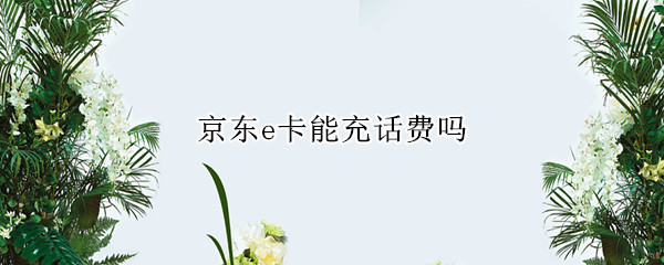 京东e卡能充话费吗?