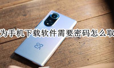 华为手机下载软件需要密码怎么取消 华为手机下载东西需要密码怎么取消