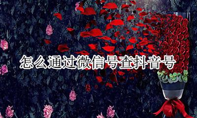 怎么通过微信号查抖音号 怎样通过微信查到抖音号