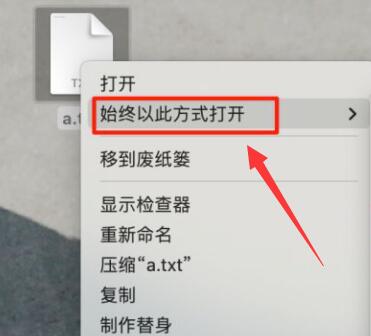 苹果文件打开方式设置默认方法