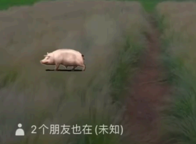 微信状态农场可以设置永久吗 微信状态农场怎么养猪