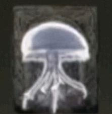 艾尔登法环骨灰怎么使用