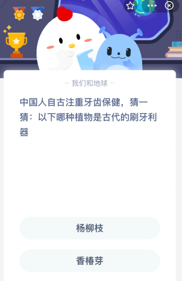 中国人自古注重牙齿保健 猜一猜:哪种植物是古代的刷牙利器?