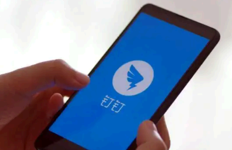 钉钉视频会议播放PPT还能看到自己吗 钉钉视频会议怎么播放PPT