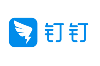 钉钉视频会议最多容纳多少人 钉钉视频会议能看到每个人吗