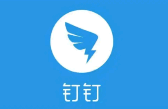 钉钉视频会议摄像头怎么转换 钉钉视频会议投屏没有声音怎么办