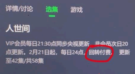 爱奇艺回转付费什么意思?