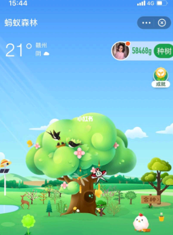 支付宝种树奖励怎么获得?