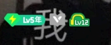 qq音乐12级相当于网易云多少级 qq音乐12级是多少分钟?要听多少歌?